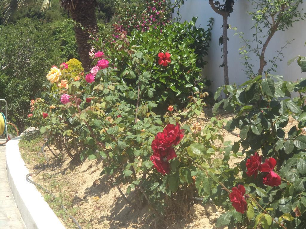 Ilis Villas Kastro-Kyllini Εξωτερικό φωτογραφία
